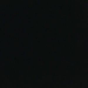 Meet your Posher, Sonny