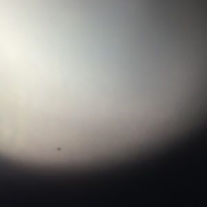 Meet your Posher, Tim