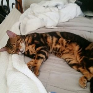 Meet your Posher, Kaitlyn