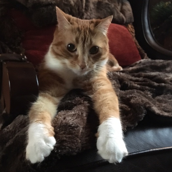 Meet your Posher, Kristine