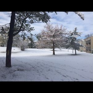 Meet your Posher, Becky