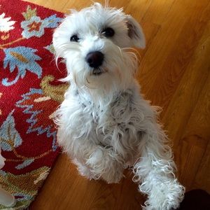 Meet your Posher, Kristie