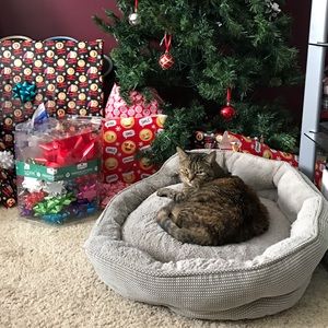 Meet your Posher, Sharon