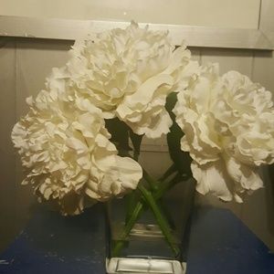 Meet your Posher, Lady