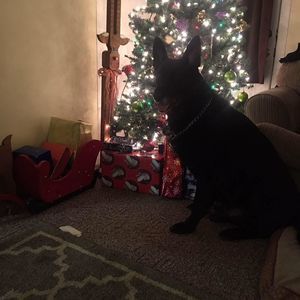 Meet your Posher, Krystal