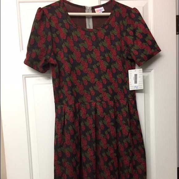 Lularoe Amelia XL
