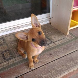 Meet your Posher, Cheryl