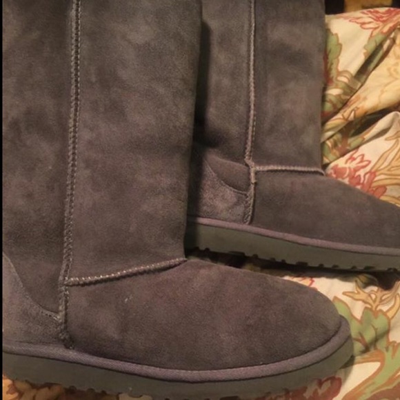 Gray Tall Uggs