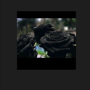 Meet your Posher, Lorraine