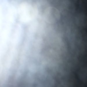 Meet your Posher, Liz