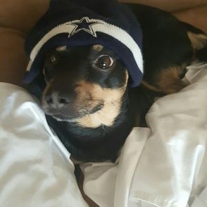 Meet your Posher, Benito