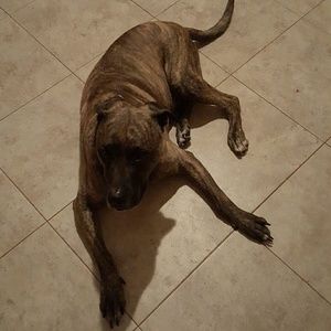 Meet your Posher, Jodi