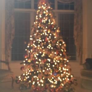 Meet your Posher, Thang