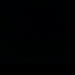 Meet your Posher, Shonda