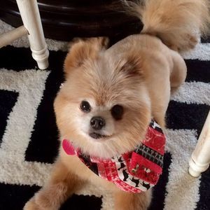 Meet your Posher, Kerie