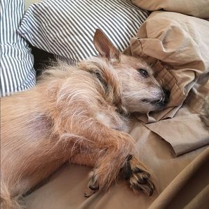 Meet your Posher, Tiersa