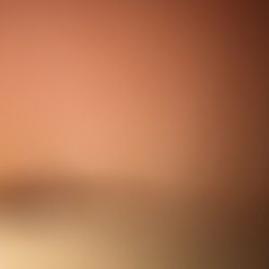 Meet your Posher, Alice