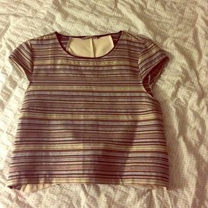 Zara crop top