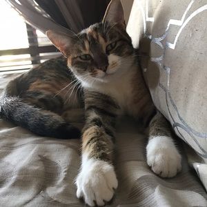 Meet your Posher, Lisa