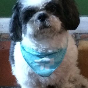 Meet your Posher, Miguel