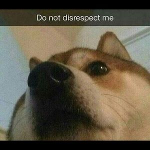 Meet your Posher, Jaime