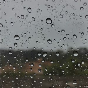 Meet your Posher, Susanna