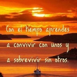 Meet your Posher, Fani