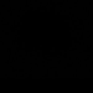 Meet your Posher, Tasha