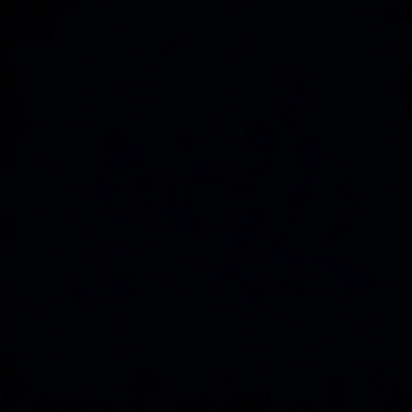 Meet your Posher, Andrewia - Picture 1 of 1