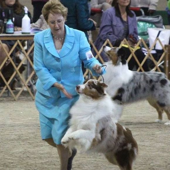 Meet your Posher, Joyce