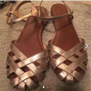 American eagles flat