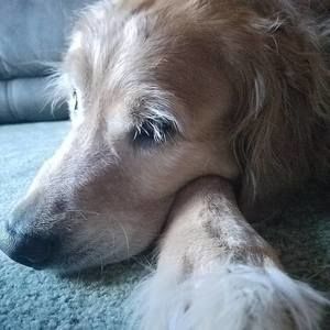 Meet your Posher, Corey