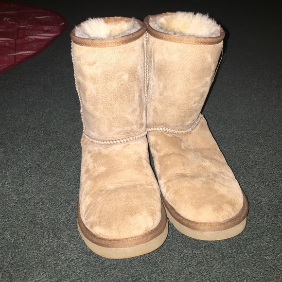 Chestnut Ugg boots