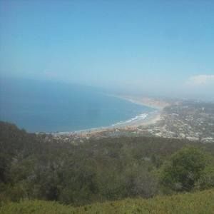 Meet your Posher, Ross