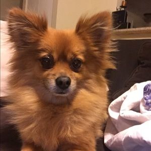 Meet your Posher, Mark