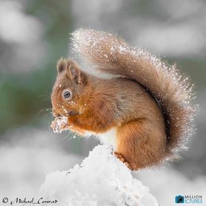 Meet your Posher, Beh