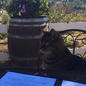 Meet your Posher, Tracy