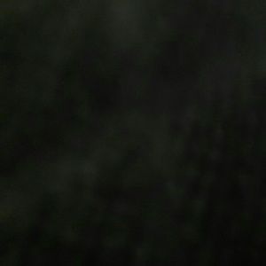 Meet your Posher, Marisol