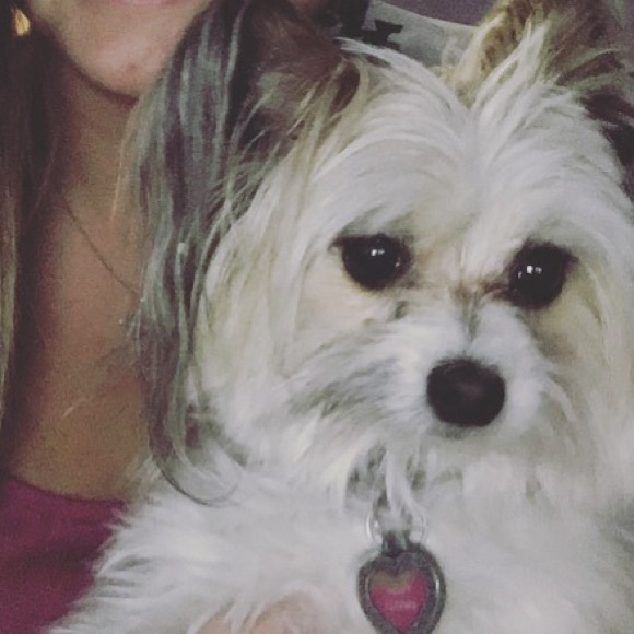 Meet your Posher, Rachel