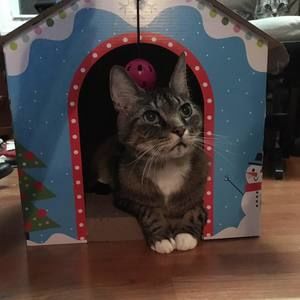 Meet your Posher, Aracely