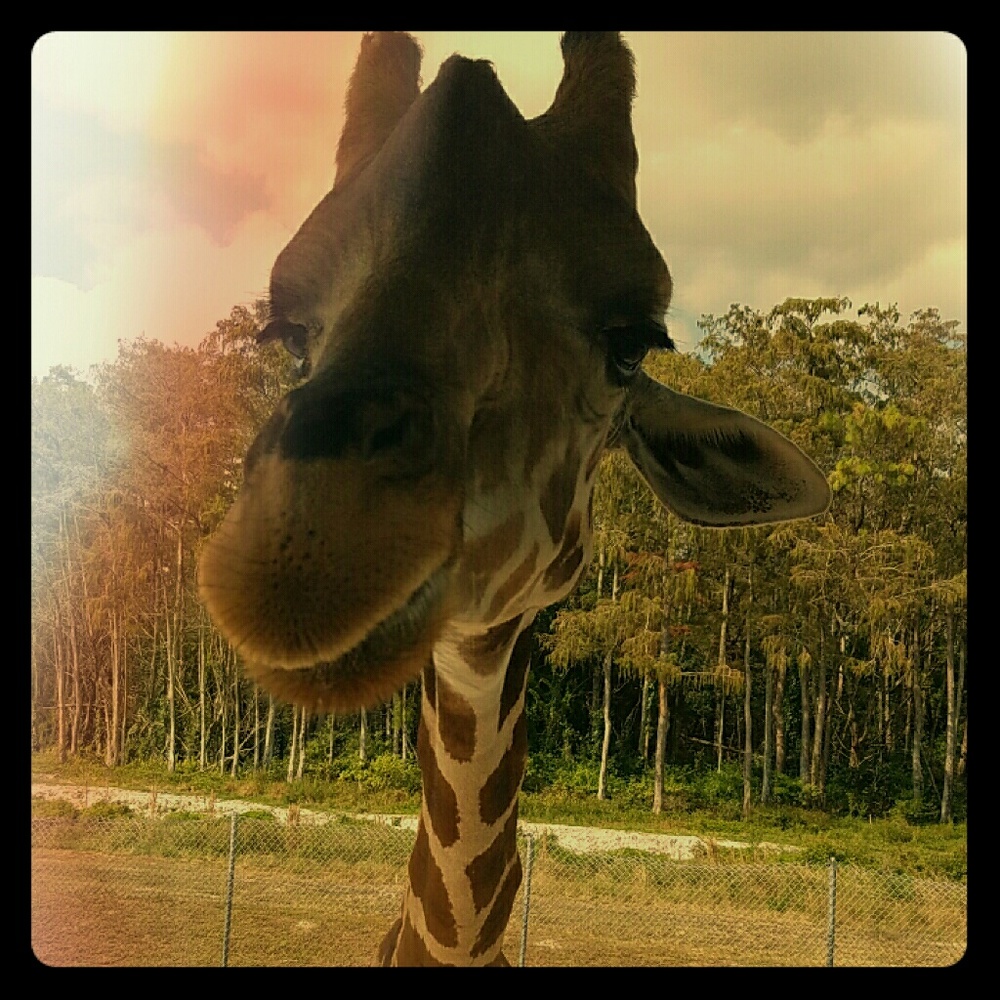 Meet your Posher, Erin