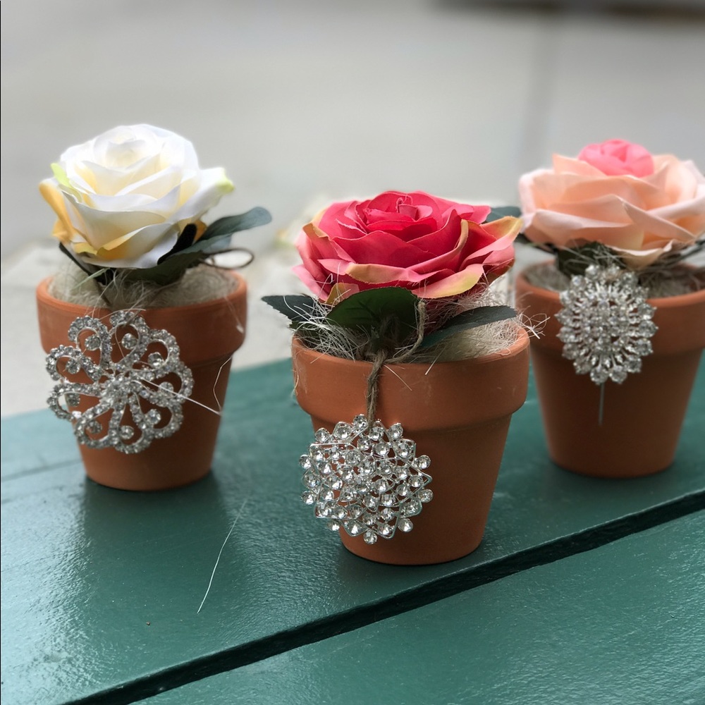 Meet your Posher, Lucy