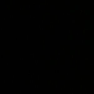 Meet your Posher, Jody