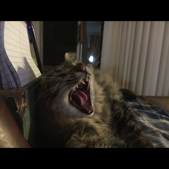 Meet your Posher, Eric - Picture 1 of 1