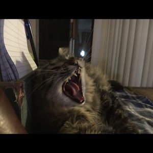 Meet your Posher, Eric