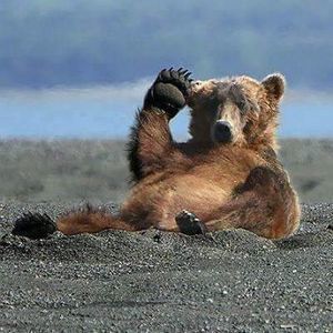 Meet your Posher, Tom