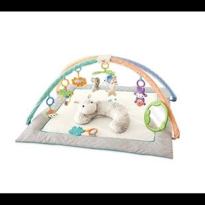 Fisher-Price Safari Dreams Deluxe Cuddle Gym