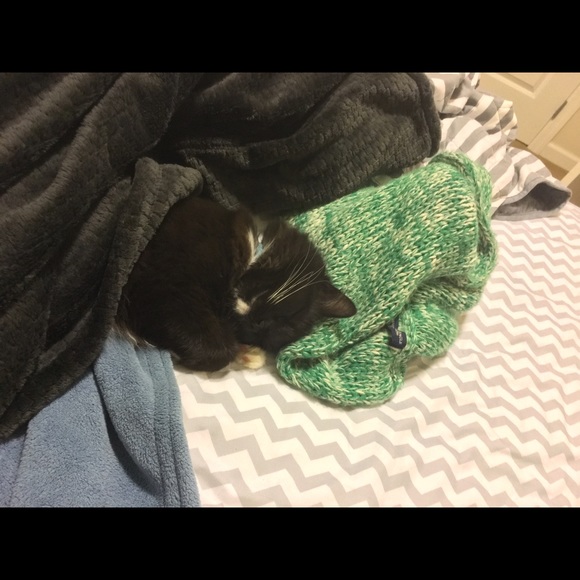 Meet your Posher, Carlin