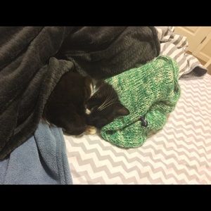 Meet your Posher, Carlin