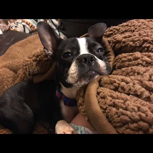 Meet your posher, Tiffany! - Picture 3 of 7